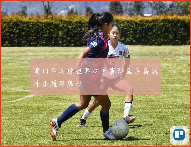 澳门乒乓球世界杯开赛即国乒备战冲击冠军席位