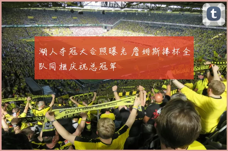 湖人夺冠大合照曝光 詹姆斯捧杯全队同框庆祝总冠军